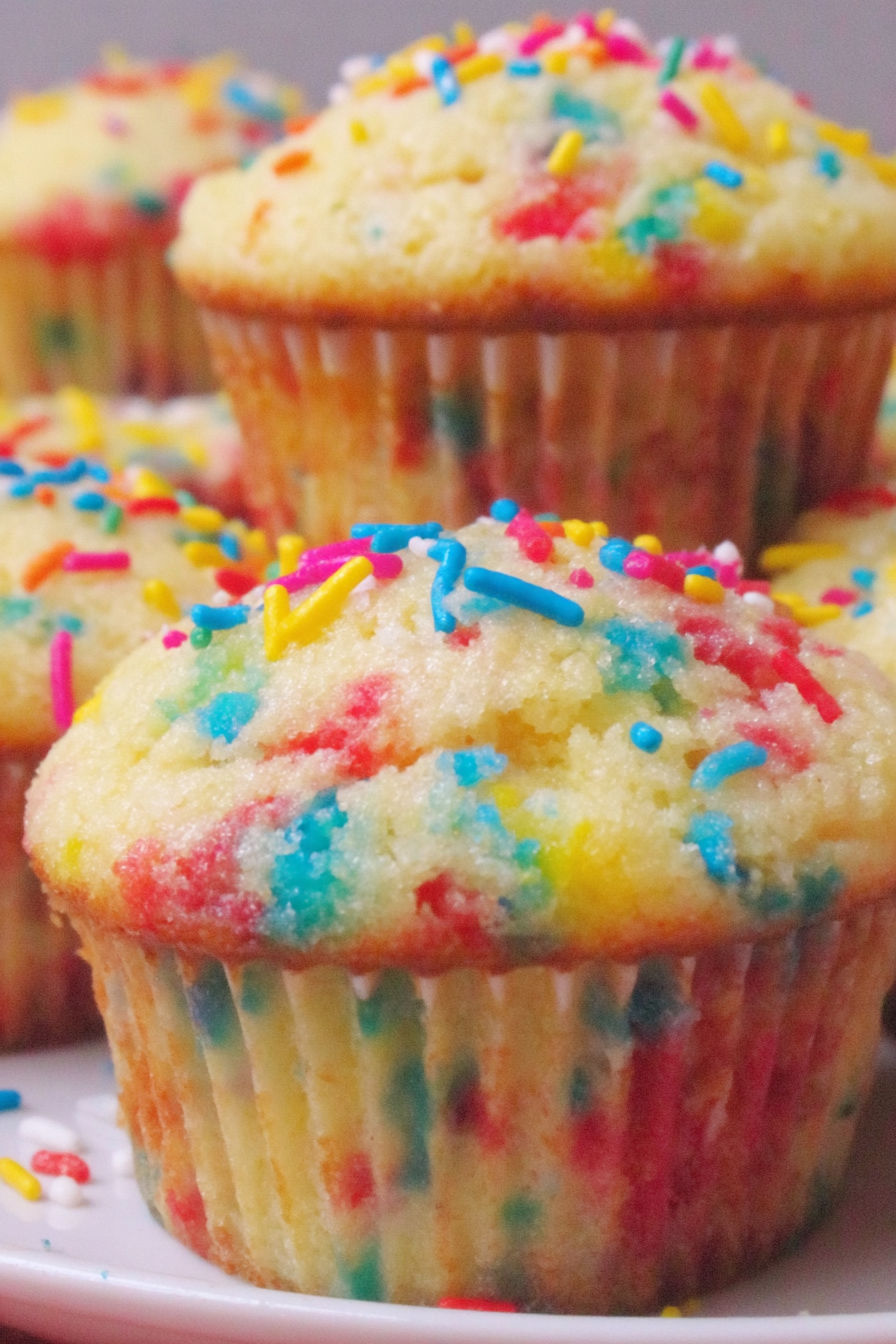 A cupcake with rainbow sprinkles.