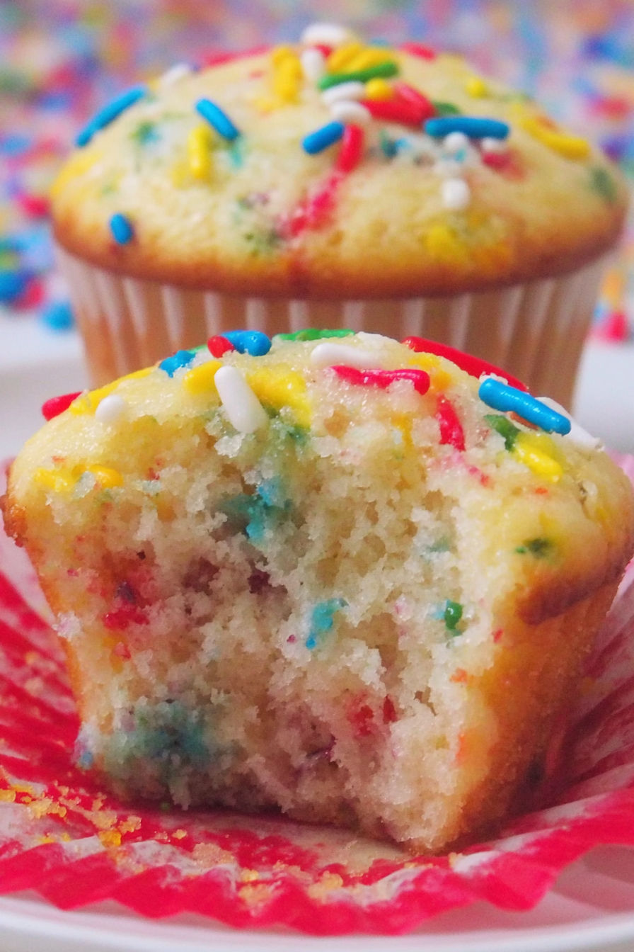 A cupcake with rainbow sprinkles.