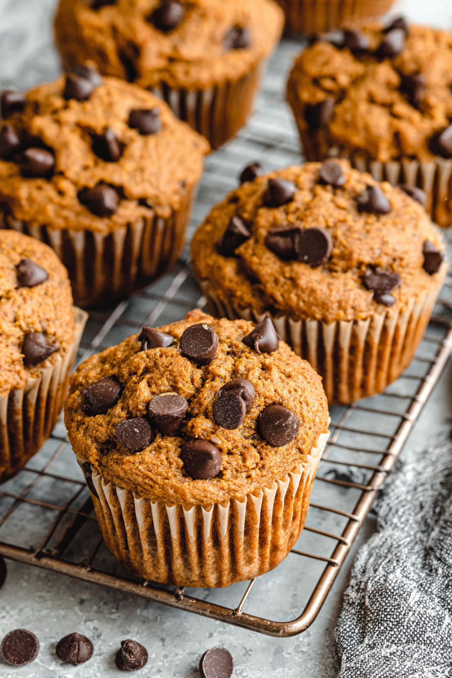 A tray of muffins with chocolate chips and pumpkin.