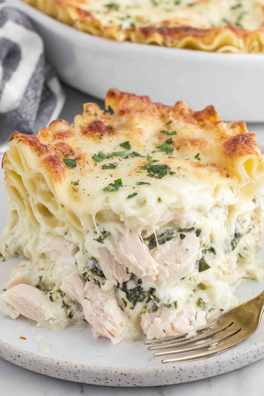 A close up of a delicious chicken lasagna.