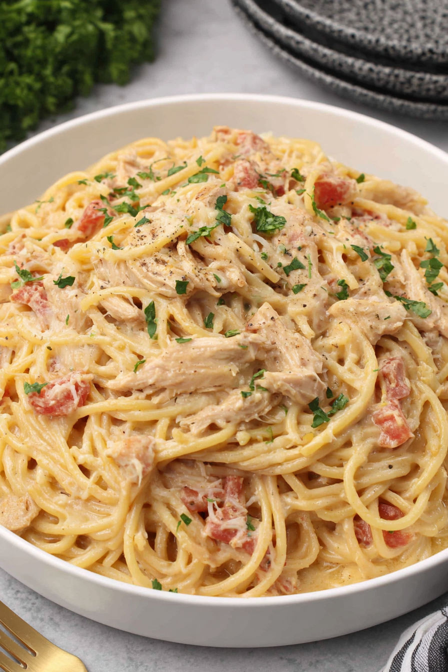 A bowl of spaghetti with chicken and tomatoes.