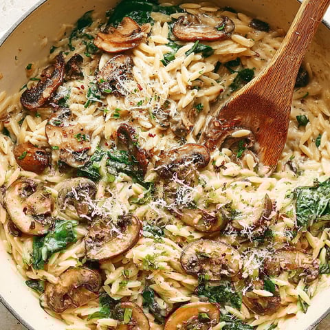 A bowl of creamy garlic mushroom orzo.