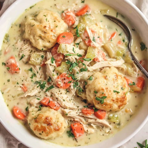 A bowl of chicken and dumpling soup.